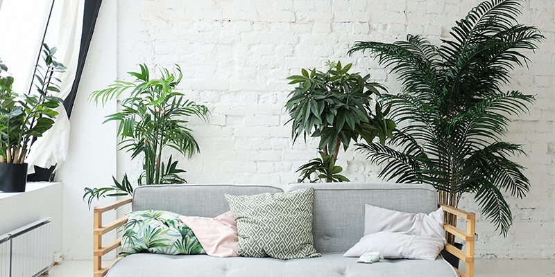 Por que você deve apostar em plantas na decoração do seu apartamento?